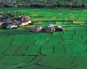 長江中下游平原