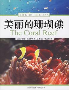 美麗的珊瑚礁