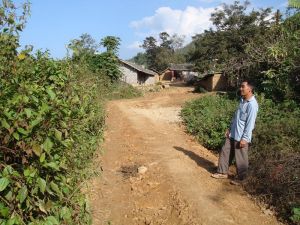 先鋒村[雲南省普洱市景谷傣族彝族自治縣碧安鄉漫河村]