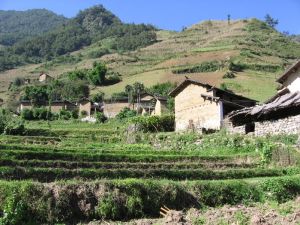 新景村[雲龍縣功果橋鎮湯澗新景村]