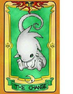 換庫洛牌 換庫洛牌