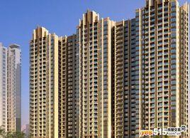 淘金家園C組團 淘金家園C組團