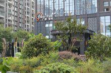 廣都·智庫Think-Tank