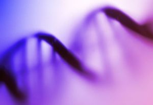 顯性基因 顯性基因