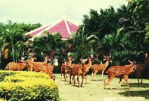 （圖）龍潭山鹿場