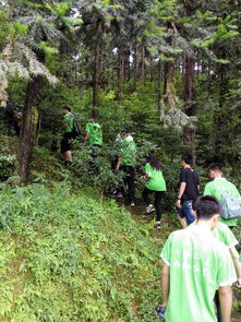 官山林場 官山林場