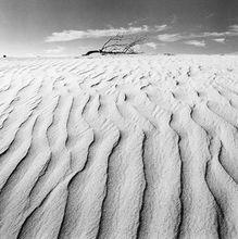 這是有關賽格福瑞德&middot;曼尼埃塔的作品