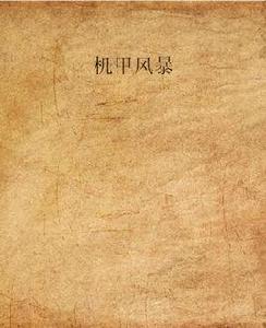 機甲風暴[同名小說]