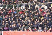 登高節[達州登高節]