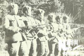 老禿山戰鬥 老禿山戰鬥