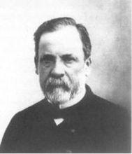 路易斯·巴斯德