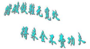 踏破鐵鞋無覓處,得來全不費 踏破鐵鞋無覓處,得來全不費