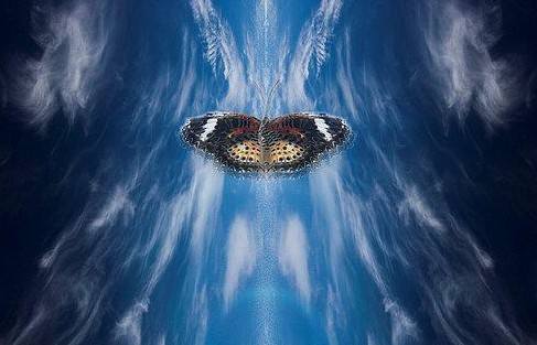 蝴蝶效應到底有多可怕?