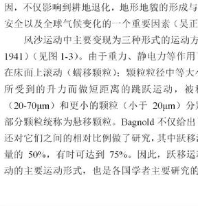 沙粒蠕動 沙粒蠕動