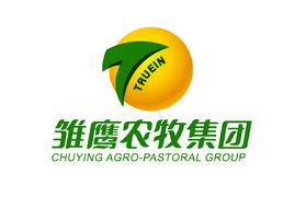 雛鷹農牧集團股份有限公司 雛鷹農牧集團股份有限公司