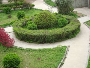 新民中學春景圖