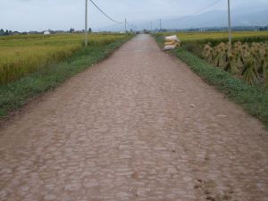 謝旗廠村 謝旗廠村