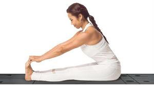 背部前曲伸展坐式 背部前曲伸展坐式