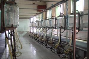 荷斯坦奶牛養殖國家引進國外智力成果示範推廣基地機械化擠奶站