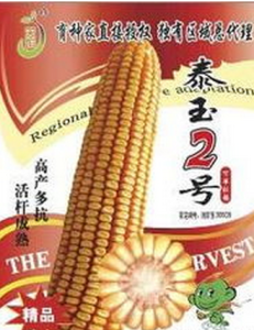 泰玉2號 泰玉2號