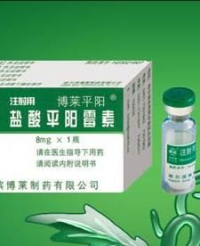 平陽黴素 平陽黴素