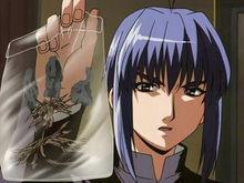 天草流動畫版人物形象