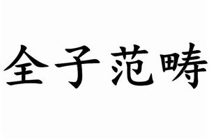 全子範疇 全子範疇