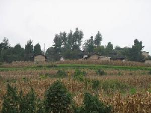 大吉子村 大吉子村