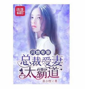 閃婚專寵總裁愛妻太霸道 閃婚專寵總裁愛妻太霸道