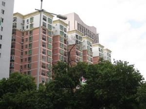 金園花園 金園花園