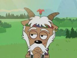 西域刀羊 西域刀羊