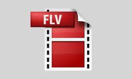 flv格式
