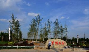 羅城公園 羅城公園