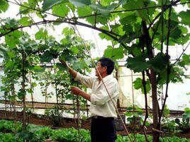 德塢街道 德塢街道