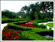 黑龍江省森林植物園