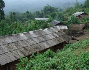 奔龍庫自然村 奔龍庫自然村