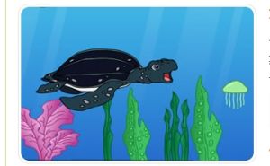 《迭戈與大海龜》 《迭戈與大海龜》