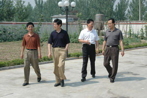 （圖）開發治理