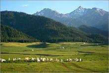 巴音溝烏拉斯颱風景區