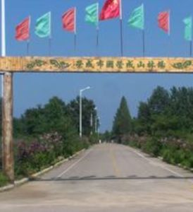 榮成市國營成山林場 榮成市國營成山林場