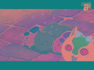 南/意(左一)和白/俄貓貓(右一)