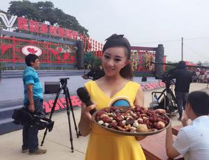 趙宇婷主持節目圖片