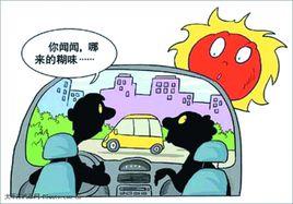 車輛自燃險 車輛自燃險