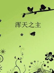 渾天之主 渾天之主