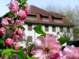 山東大學學生就業指導中心 山東大學學生就業指導中心