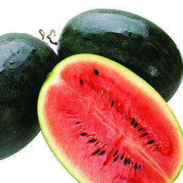 靚美人6號 靚美人6號