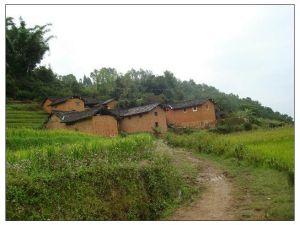 白花寨自然村 白花寨自然村