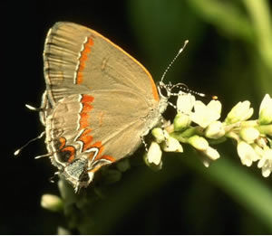 完美的愛,不完美的關係。