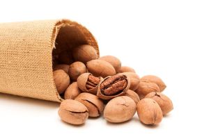 谷多芬食用菌代餐