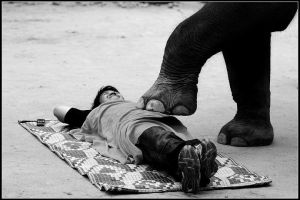 中國人本 中國人本